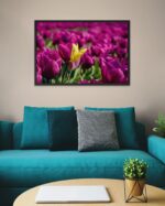 Half Purple Half Yellow Flower – Photo Print Wall Art The Netherlands