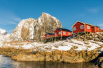 Hamnøy In The Sun – Photo Print Wall Art Norway - Lofoten Islands