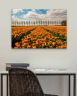 Orange Symmetrical Tulip Field – Photo Print Wall Art The Netherlands