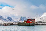 Winter Morning In The Fjord – Photo Print Wall Art Norway - Lofoten Islands