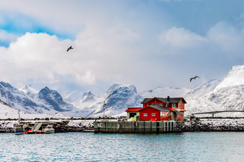 Winter Morning In The Fjord – Photo Print Wall Art Norway - Lofoten Islands