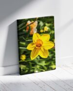 Ladybug Sleeping In Yellow Flower – Photo Print Wall Art The Netherlands