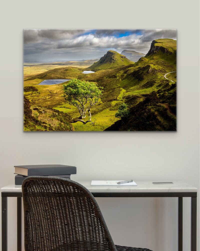 Quiraing Tree 2 – Scottish Highlands Photo Print Wall Art Scotland - Skye & Glencoe