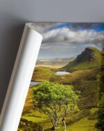 Quiraing Tree 2 – Scottish Highlands Photo Print Wall Art Scotland - Skye & Glencoe