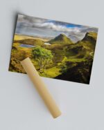 Quiraing Tree 2 – Scottish Highlands Photo Print Wall Art Scotland - Skye & Glencoe