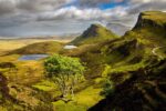 Quiraing Tree 2 – Scottish Highlands Photo Print Wall Art Scotland - Skye & Glencoe