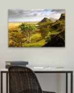 Quiraing Tree – Scottish Highlands Photo Print Wall Art Scotland - Skye & Glencoe