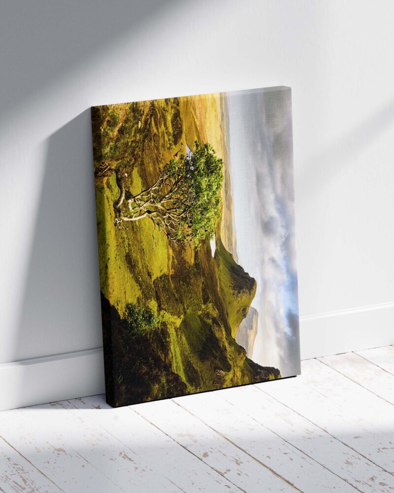 Quiraing Tree – Scottish Highlands Photo Print Wall Art Scotland - Skye & Glencoe