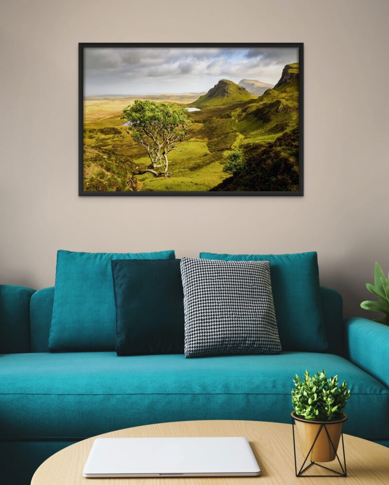 Quiraing Tree – Scottish Highlands Photo Print Wall Art Scotland - Skye & Glencoe