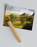 Quiraing Tree – Scottish Highlands Photo Print Wall Art Scotland - Skye & Glencoe