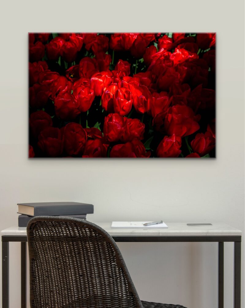 Red Flowers – Photo Print Wall Art The Netherlands