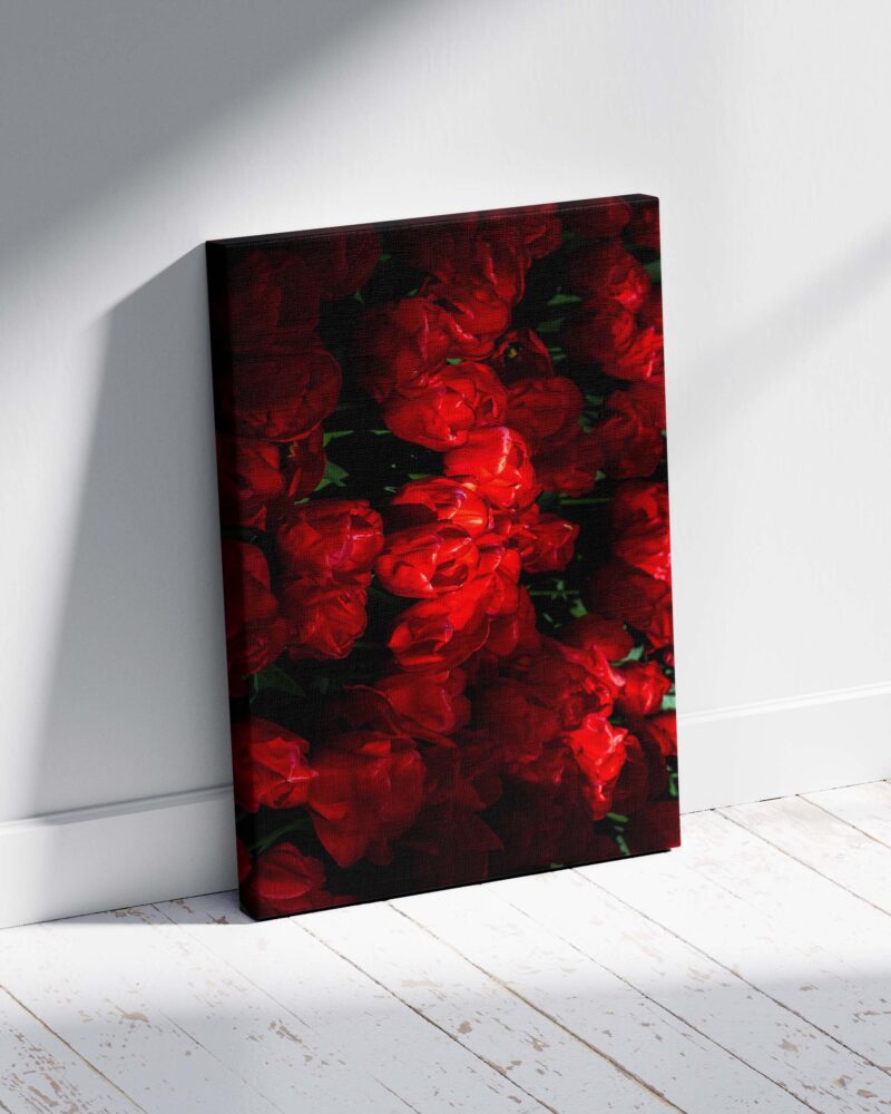 Red Flowers – Photo Print Wall Art The Netherlands