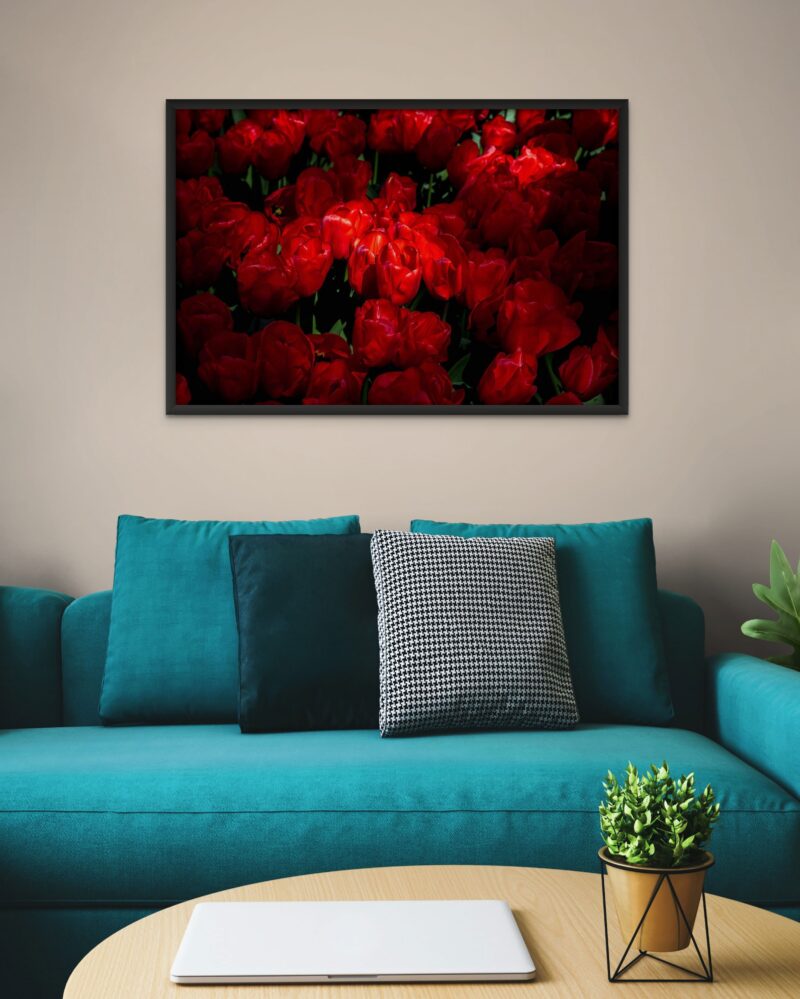 Red Flowers – Photo Print Wall Art The Netherlands