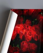 Red Flowers – Photo Print Wall Art The Netherlands