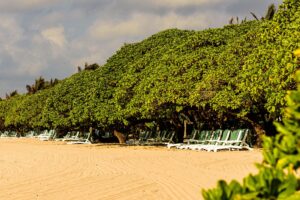 Beach with Chairs – Photo Print Wall Art Indonesia - Bali