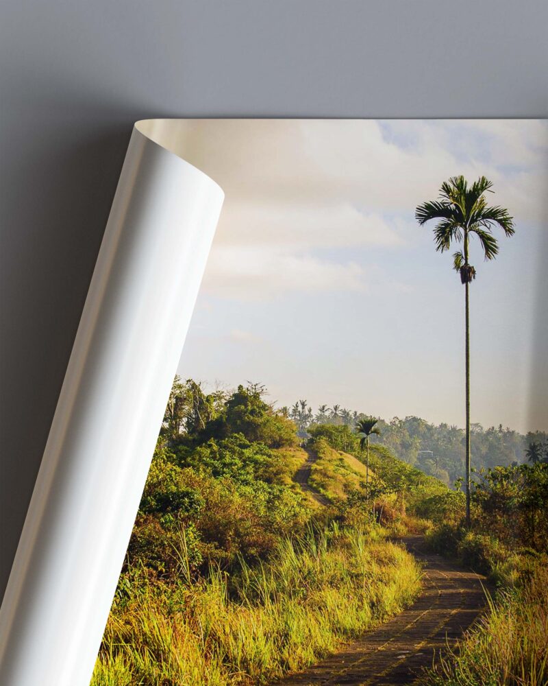 Campuhan Ridge – Photo Print Wall Art Indonesia - Bali