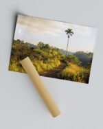 Campuhan Ridge – Photo Print Wall Art Indonesia - Bali