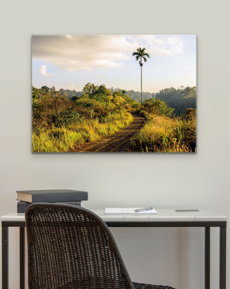 Campuhan Ridge – Photo Print Wall Art Indonesia - Bali