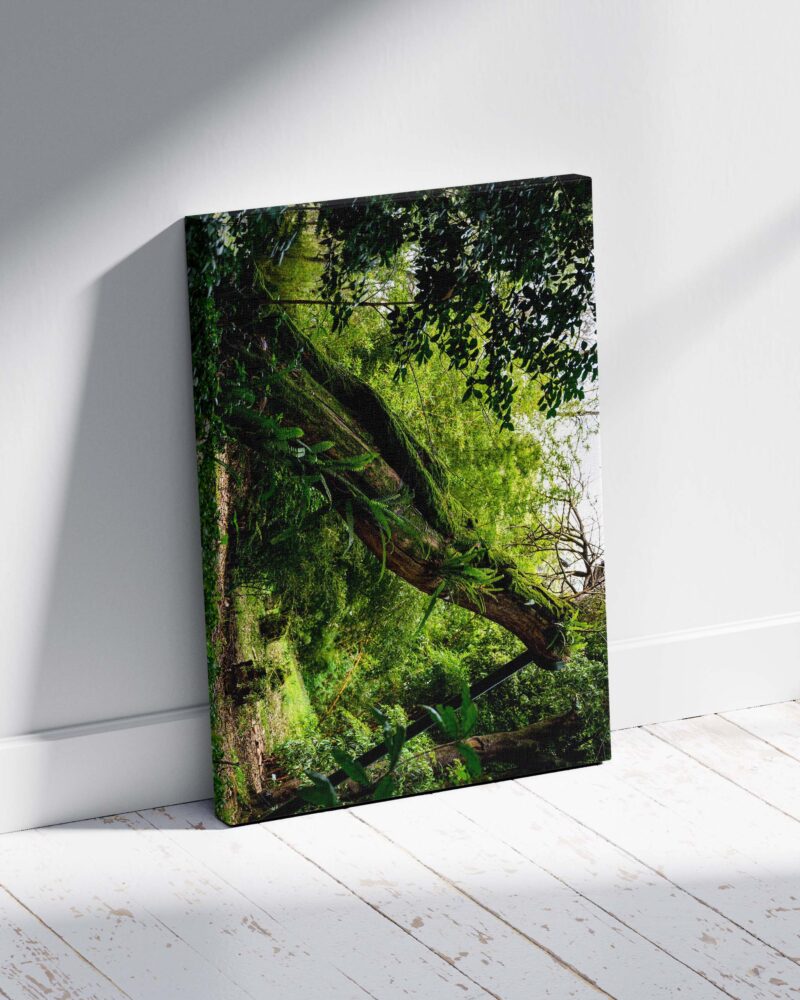 Fallen Tree – Photo Print Wall Art The Azores