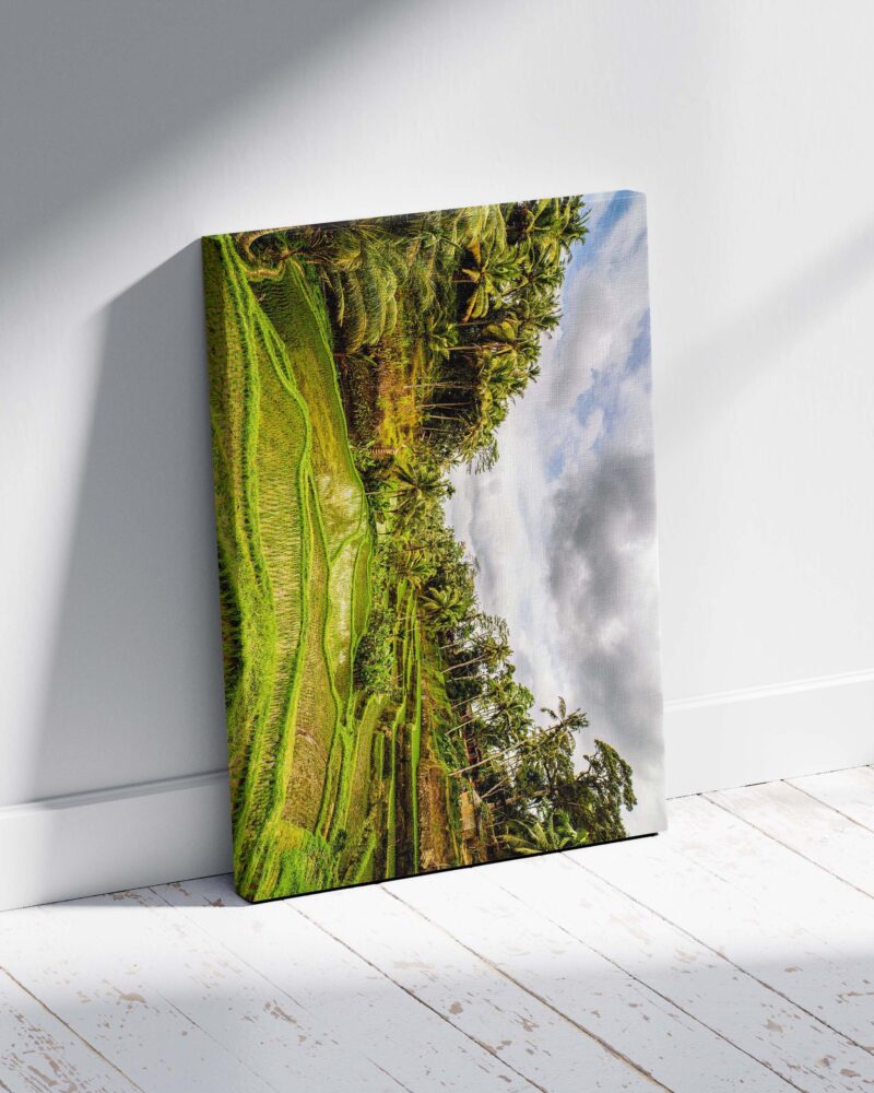 Green Rice Fields – Photo Print Wall Art Indonesia - Bali