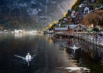 Hallstatt Town with Swans – Photo Print Wall Art Europe