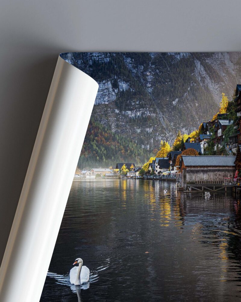 Hallstatt Town with Swans – Photo Print Wall Art Europe