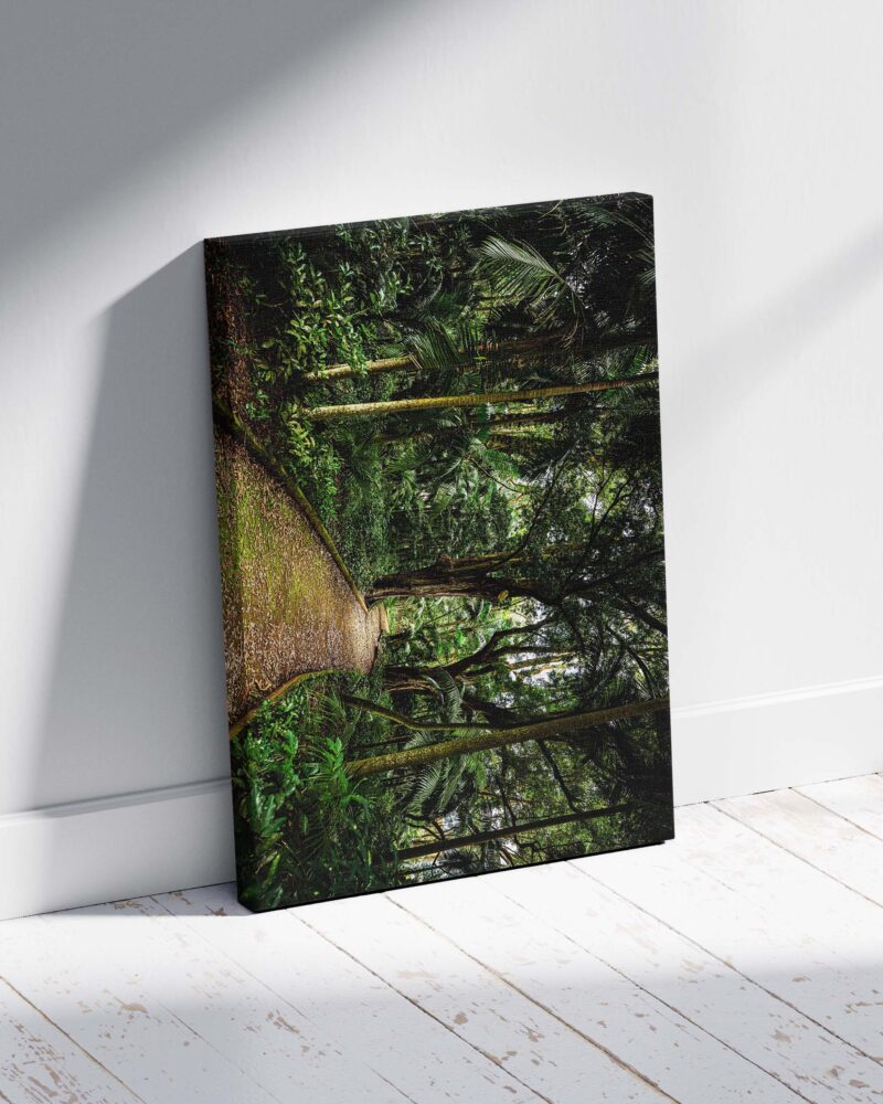 Jungle Path – Photo Print Wall Art The Azores