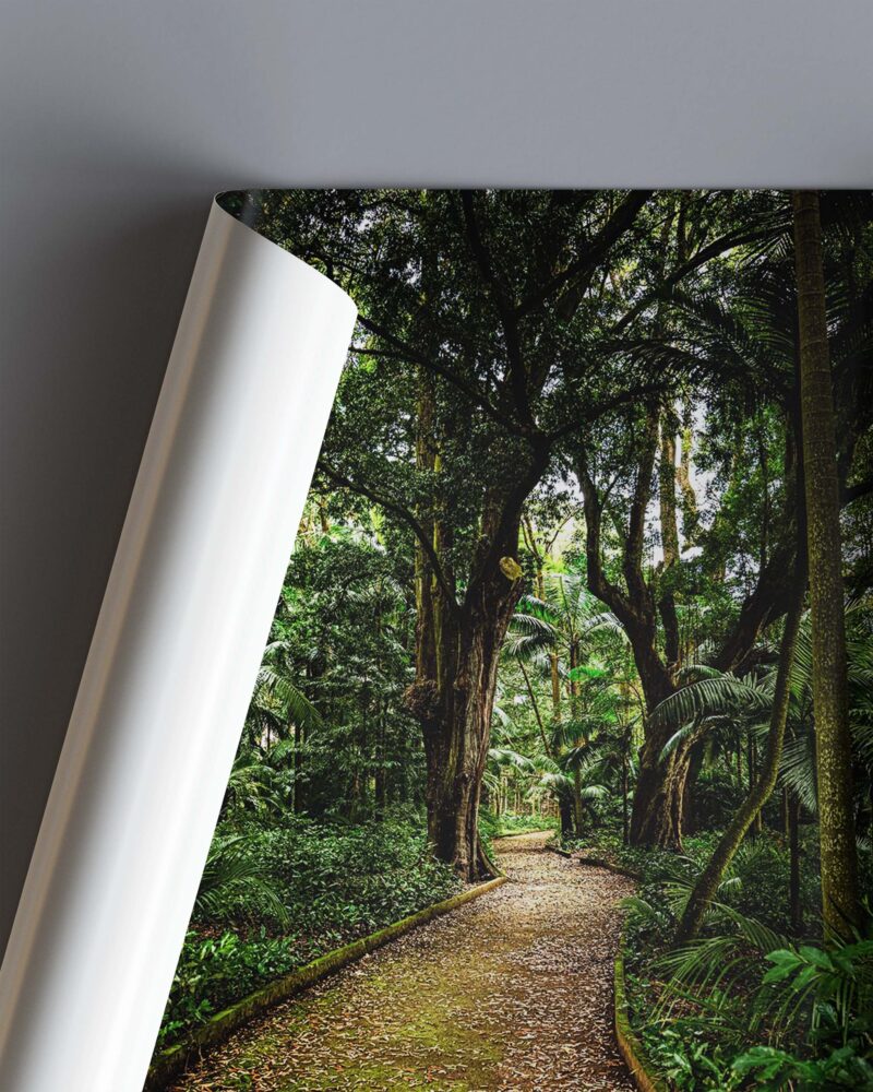 Jungle Path – Photo Print Wall Art The Azores