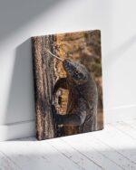 Komodo Dragon – Photo Print Wall Art Indonesia - Bali