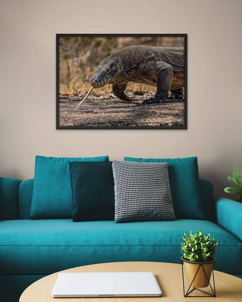 Komodo Dragon – Photo Print Wall Art Indonesia - Bali