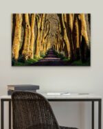 Plátanos Alley – Photo Print Wall Art The Azores