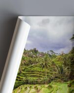 Tegallalang Rice Terrace – Photo Print Wall Art Indonesia - Bali