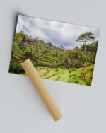 Tegallalang Rice Terrace – Photo Print Wall Art Indonesia - Bali