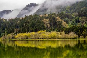 Furnas Treeline Lake Reflection – Photography Print The Azores Photo Prints
