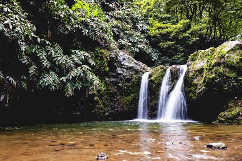 Forest Waterfall – Photo Print Wall Art The Azores