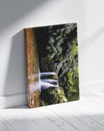 Forest Waterfall – Photo Print Wall Art The Azores