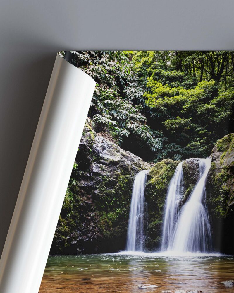 Forest Waterfall – Photo Print Wall Art The Azores